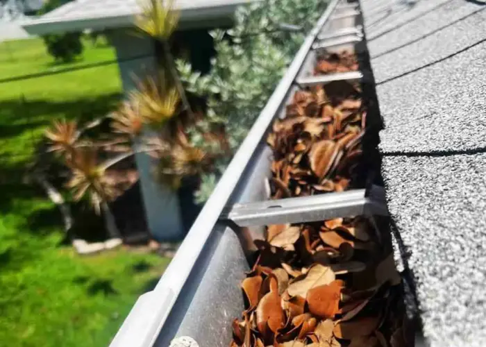 Brevard gutter cleaning home page